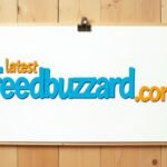 feedbuzzard com latest